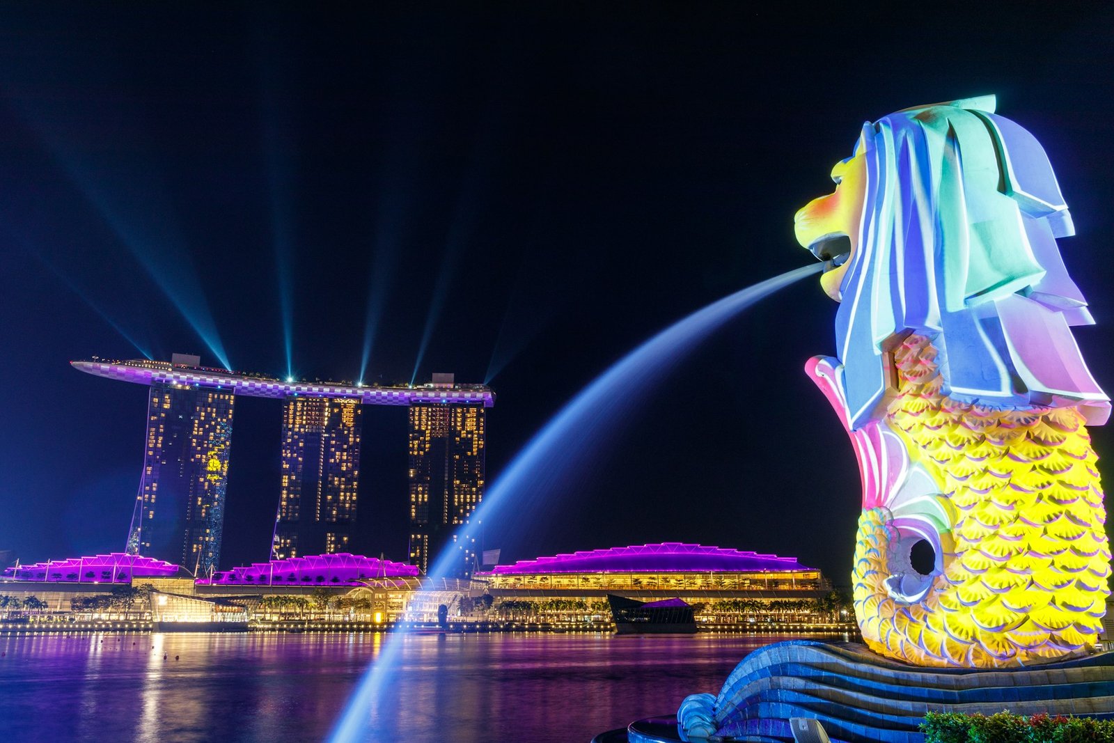 Delhi to Singapore flights