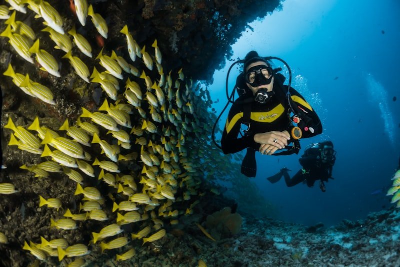 Scuba diving Andaman